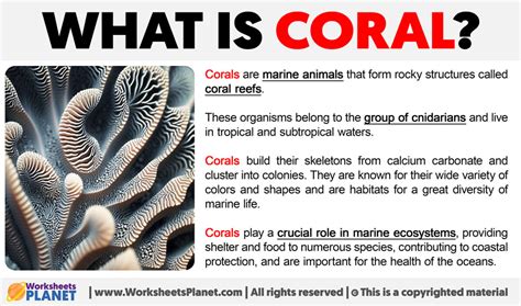 corals tagalog|Coral in English .